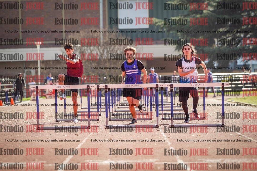 Fotos de los 110 m con vallas de varones