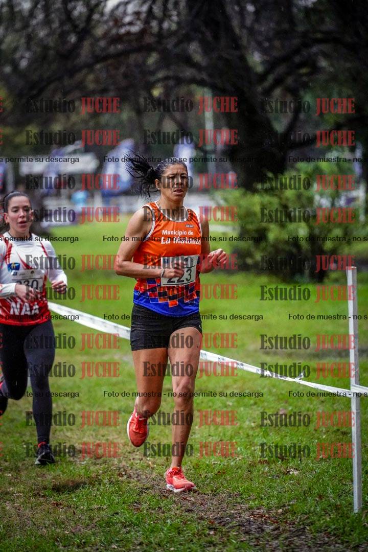 Fotos en el circuito