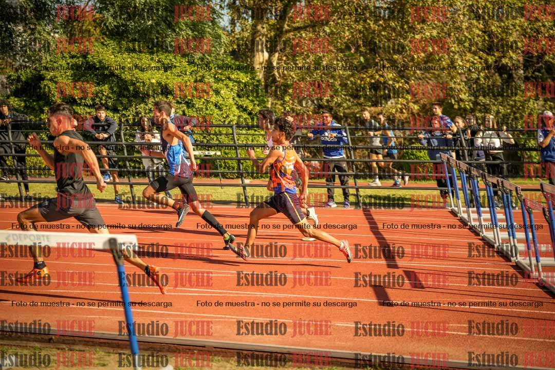 Fotos de los 110 m con vallas de varones