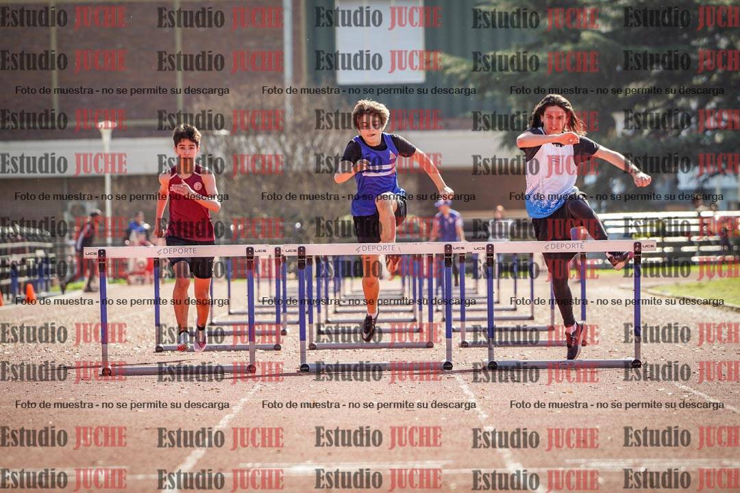 Fotos de los 110 m con vallas de varones