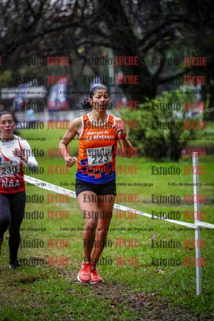 Fotos en el circuito