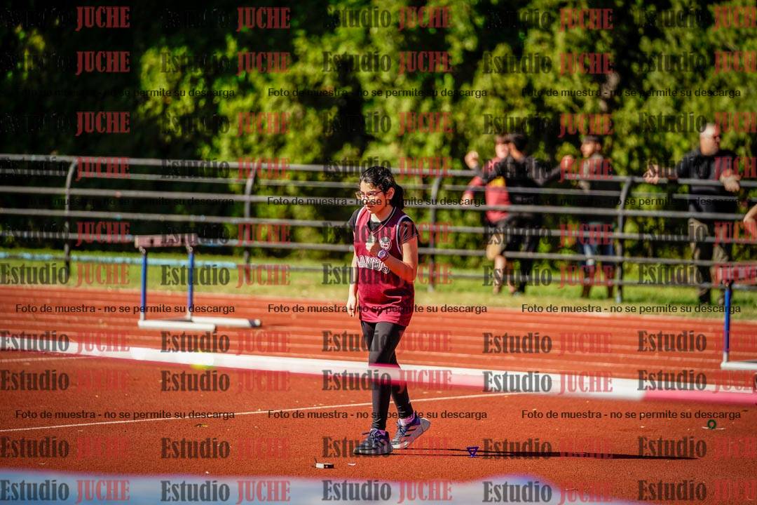 Fotos del salto en alto