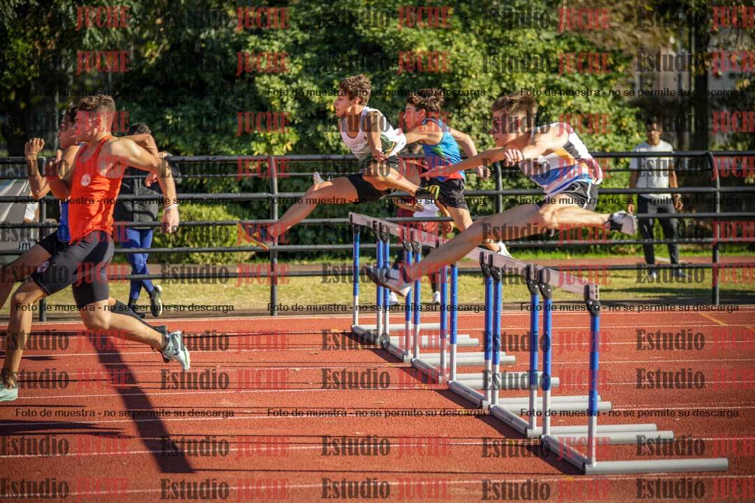 Fotos de los 110 m con vallas de varones