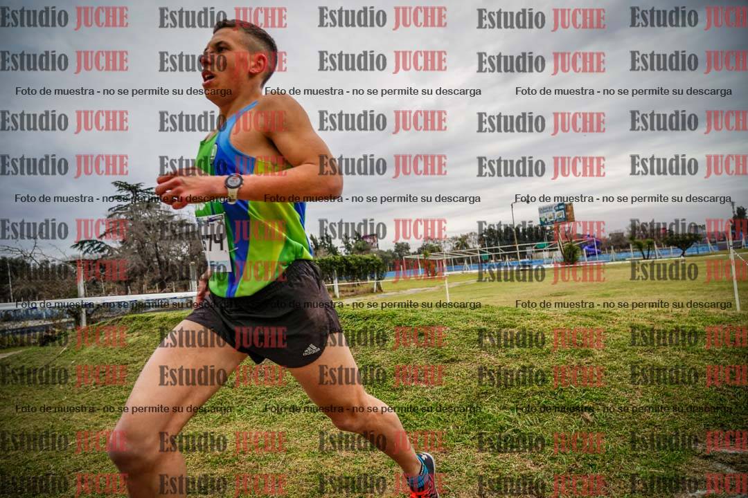 Fotos en el circuito