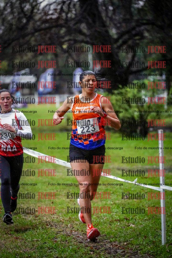 Fotos en el circuito