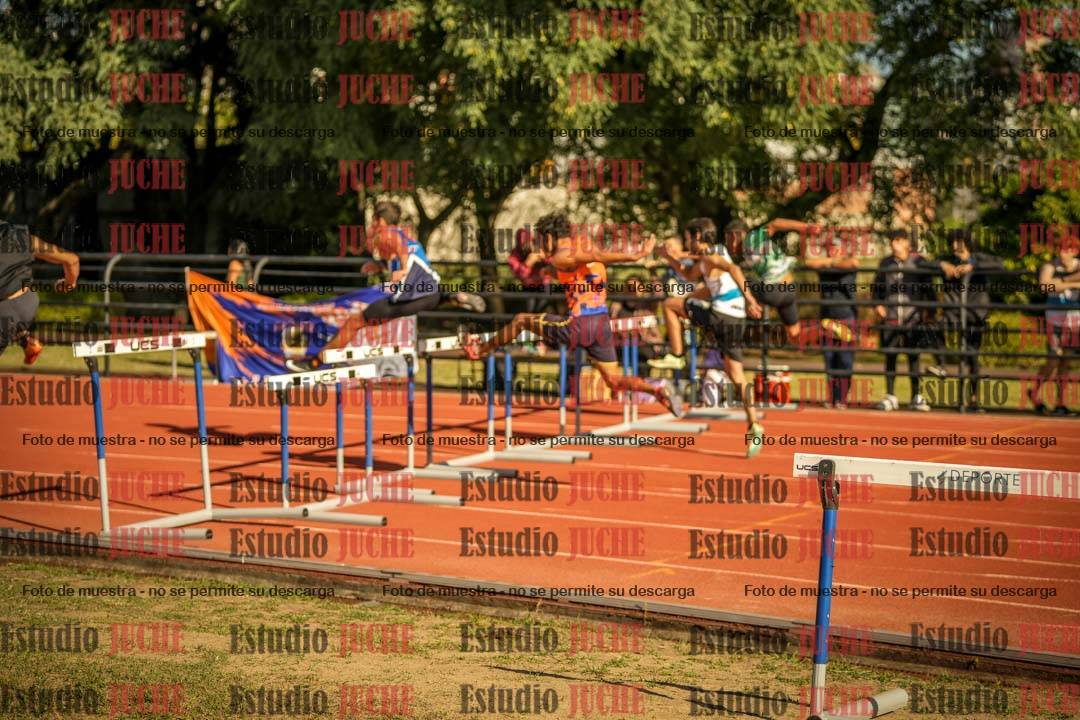 Fotos de los 110 m con vallas de varones