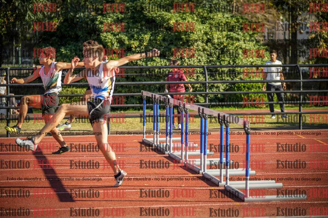 Fotos de los 110 m con vallas de varones