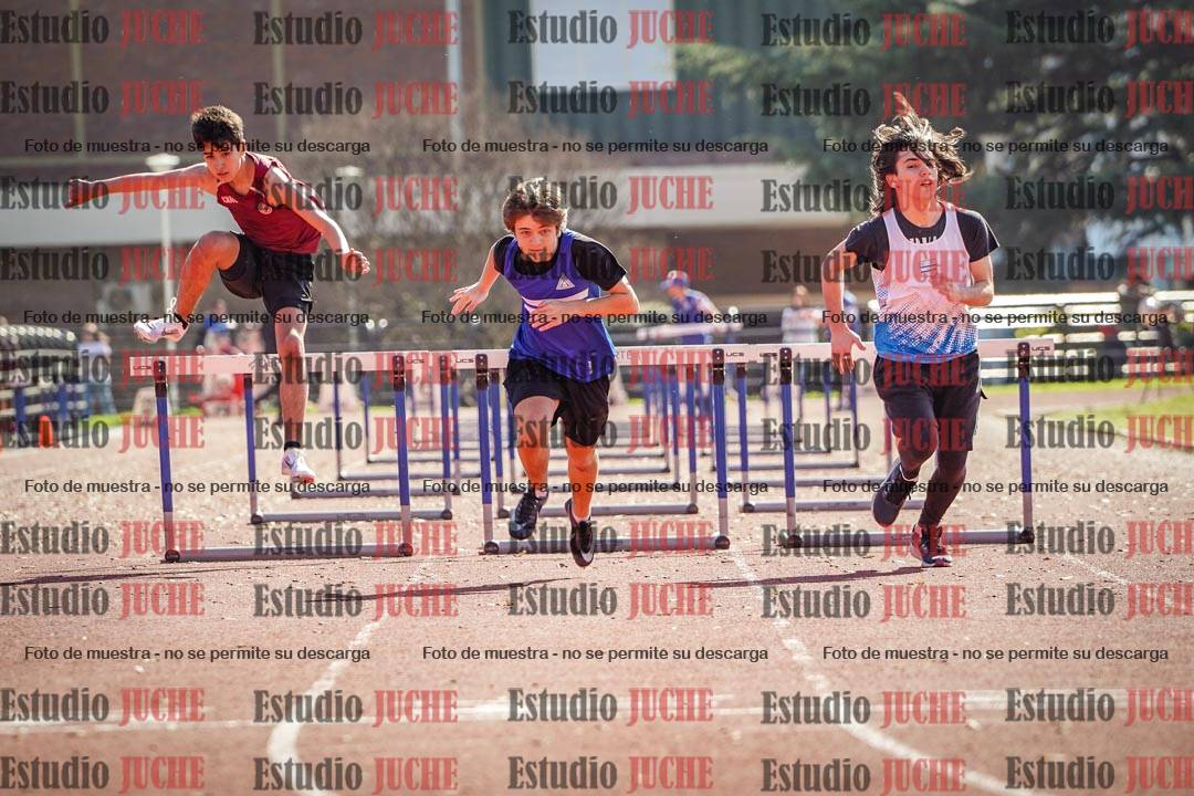 Fotos de los 110 m con vallas de varones