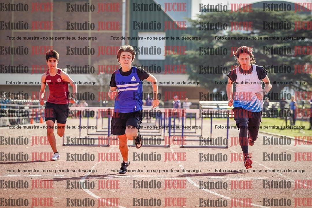 Fotos de los 110 m con vallas de varones