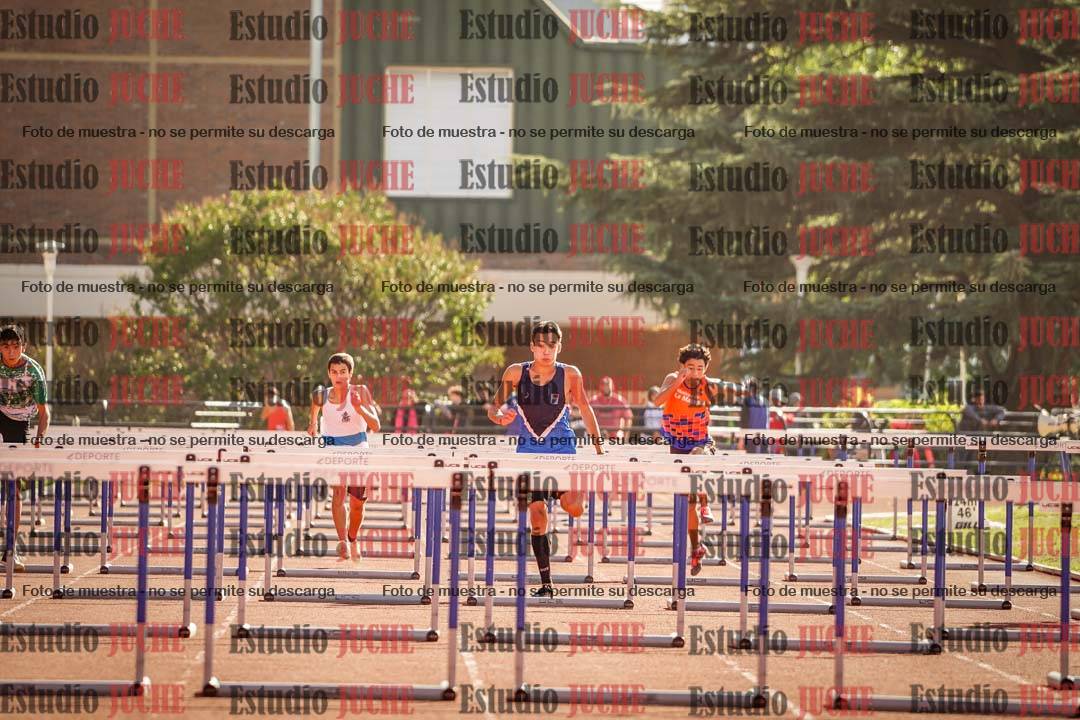 Fotos de los 110 m con vallas de varones