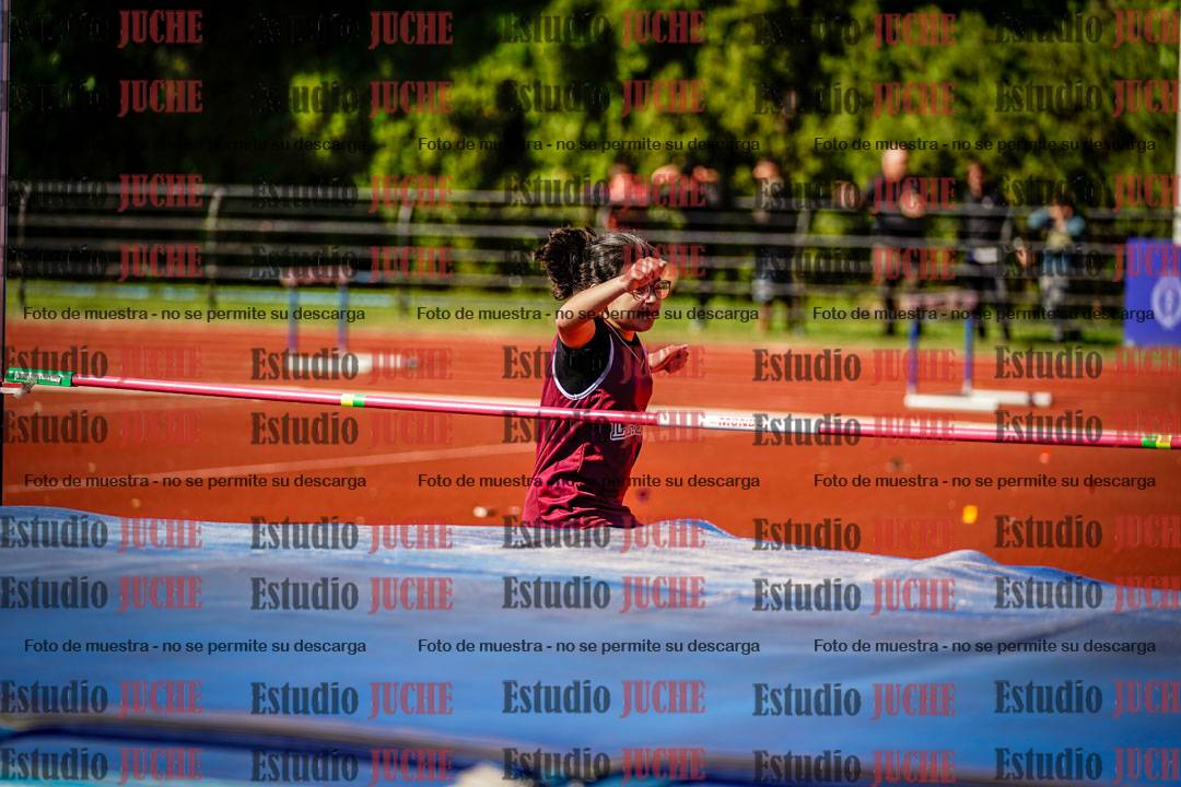 Fotos del salto en alto