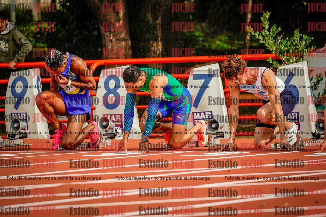 Fotos de los 110 m con vallas de varones