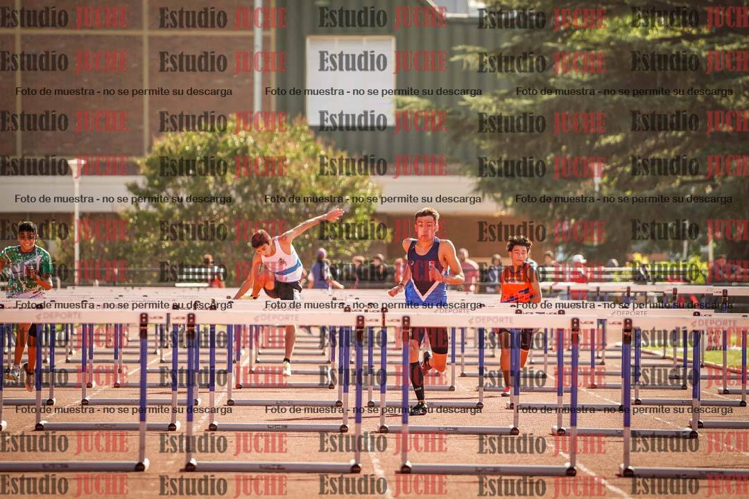 Fotos de los 110 m con vallas de varones