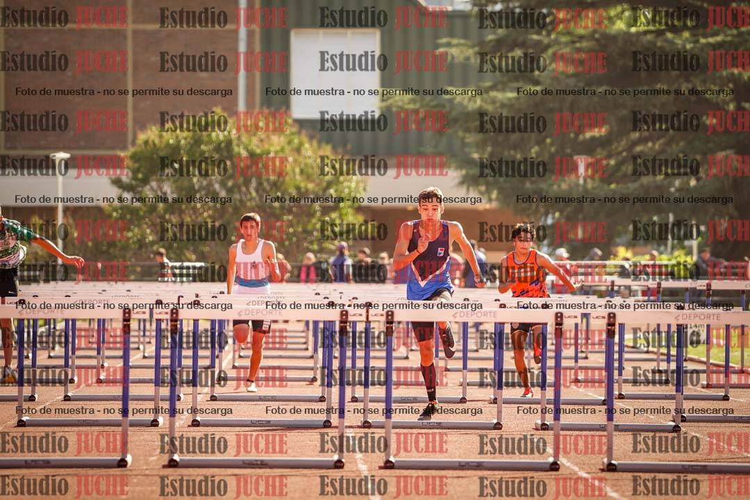 Fotos de los 110 m con vallas de varones