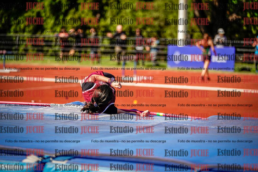 Fotos del salto en alto