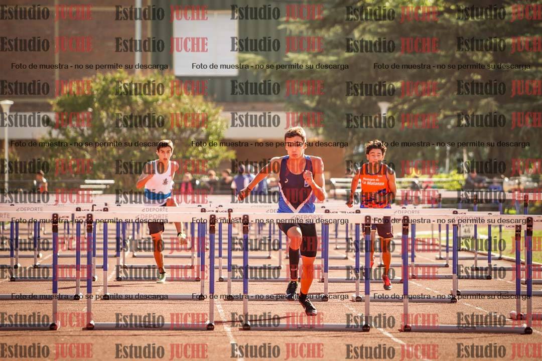 Fotos de los 110 m con vallas de varones