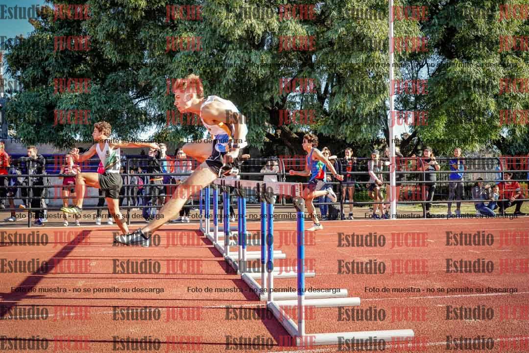 Fotos de los 110 m con vallas de varones