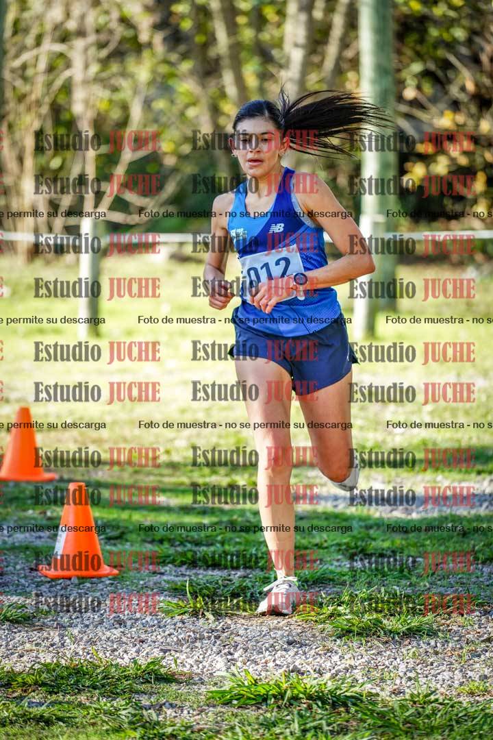 Fotos en el sexto punto del circuito