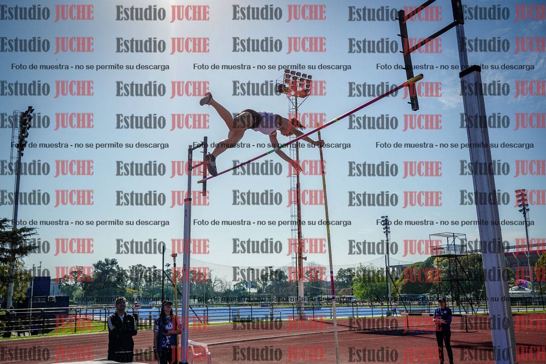 Fotos del salto con garrocha de mujeres y varones