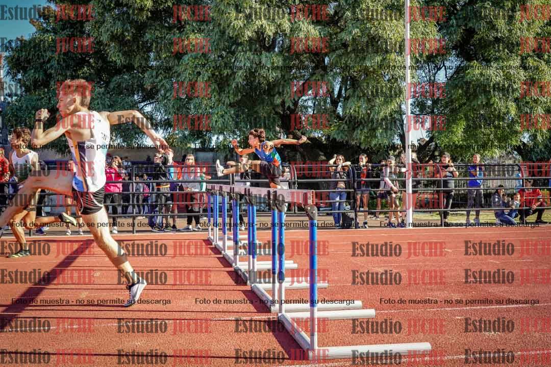 Fotos de los 110 m con vallas de varones