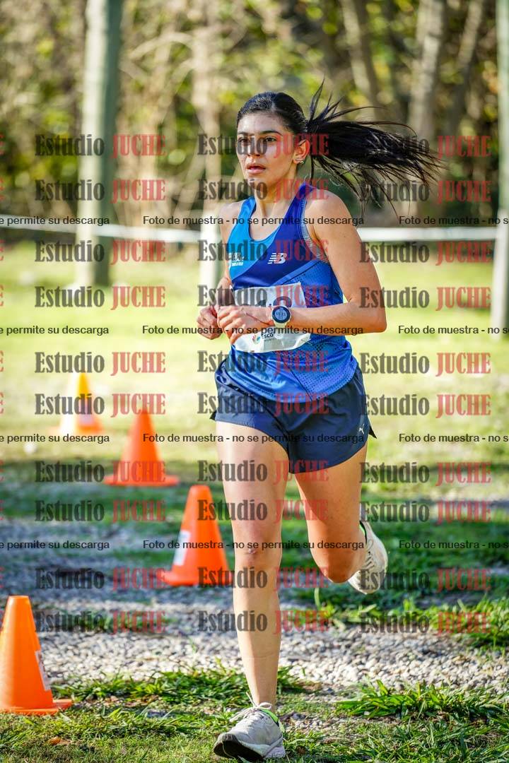 Fotos en el sexto punto del circuito