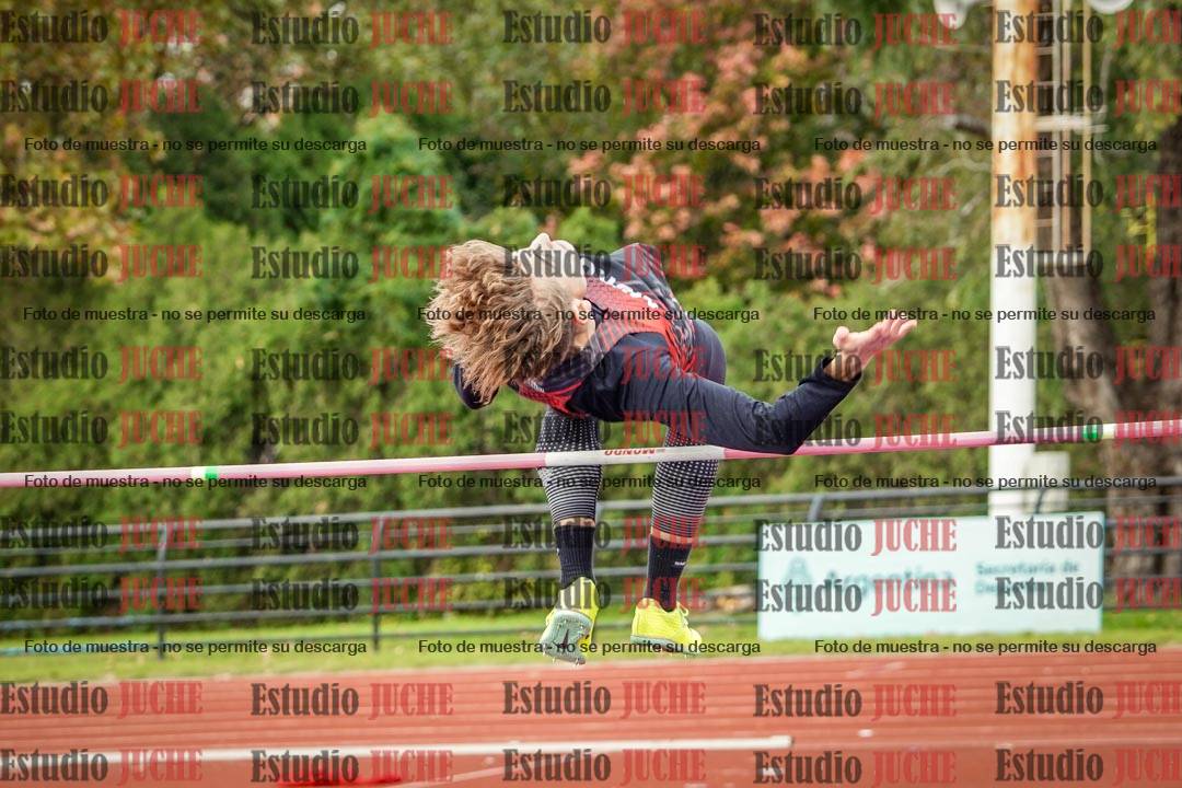 Fotos del salto en alto de varones
