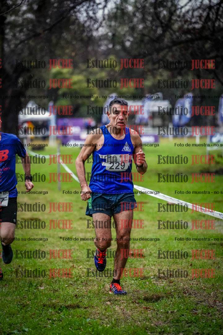 Fotos en el circuito