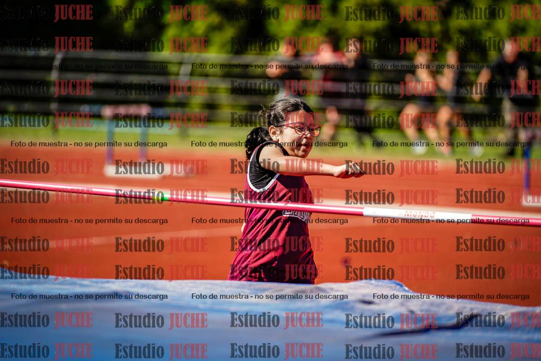 Fotos del salto en alto