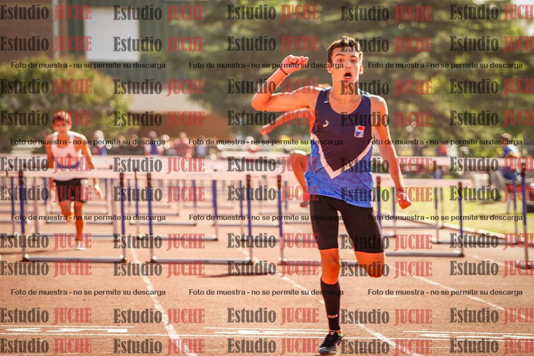 Fotos de los 110 m con vallas de varones