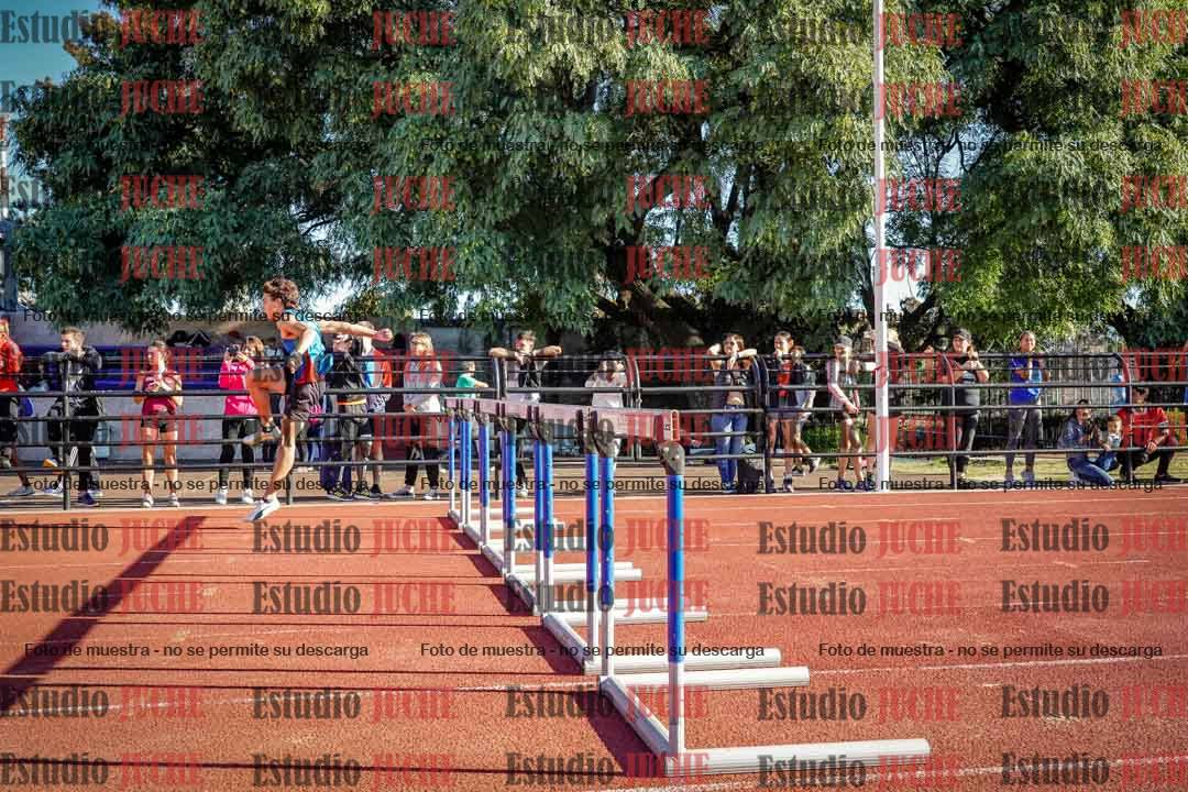 Fotos de los 110 m con vallas de varones