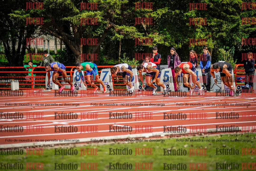 Fotos de los 110 m con vallas de varones