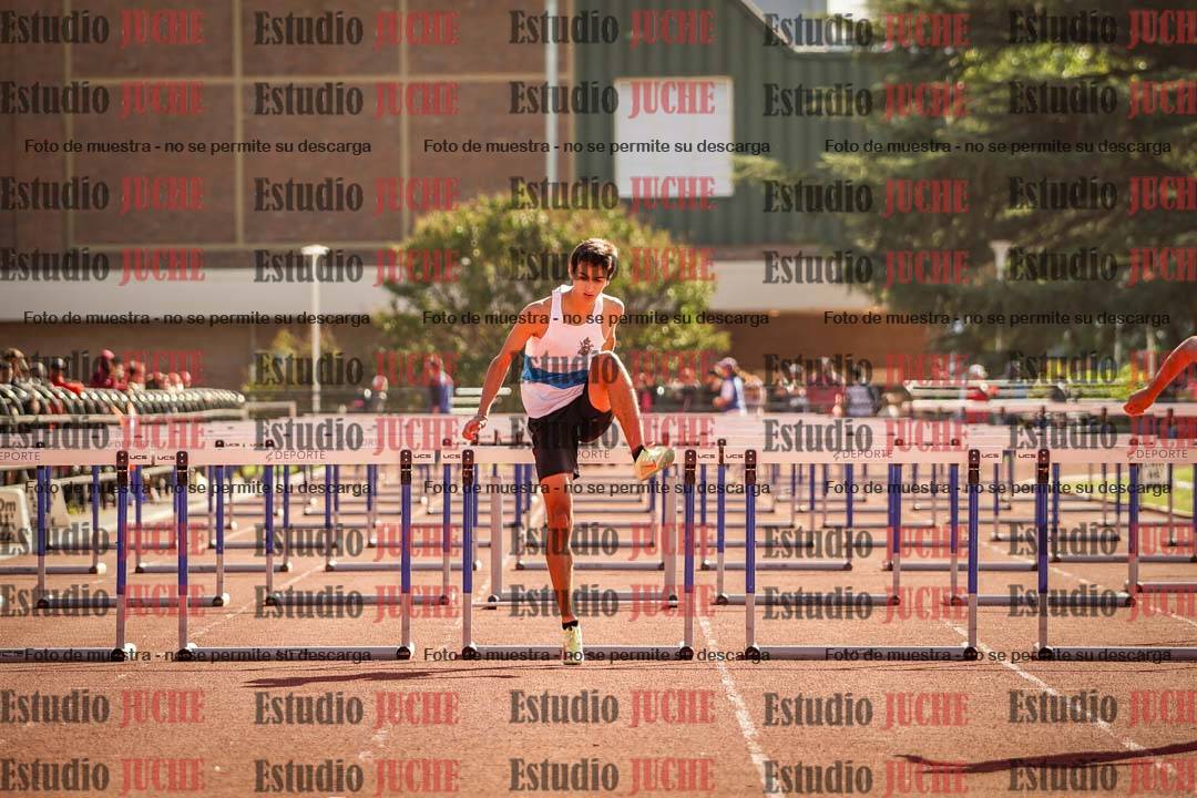 Fotos de los 110 m con vallas de varones
