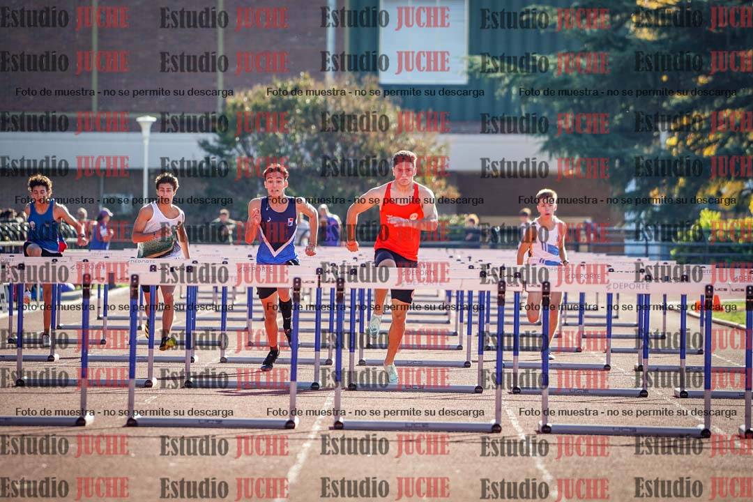Fotos de los 110 m con vallas de varones