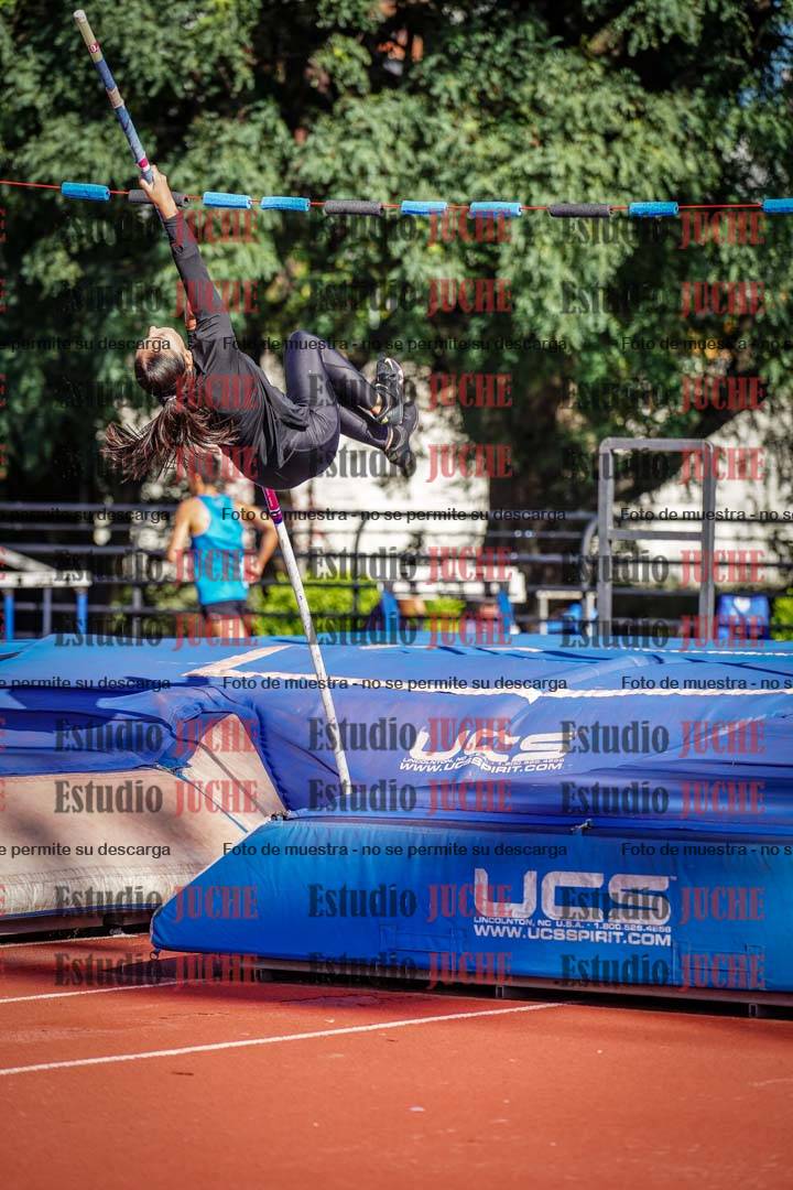 Fotos del salto con garrocha de mujeres y varones