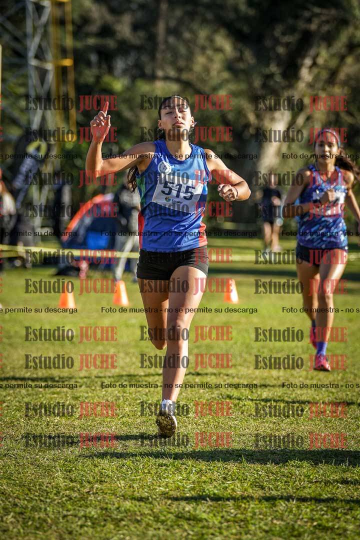 Fotos de la llegada del cross de 4000 m - mujeres