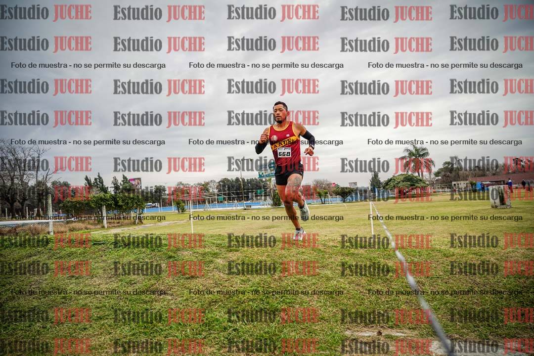 Fotos en el circuito