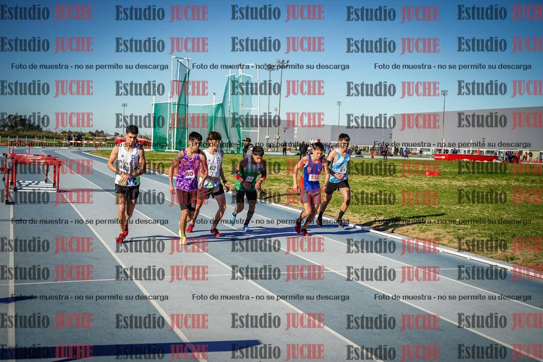Fotos de los 3000 m con obstáculos de varones