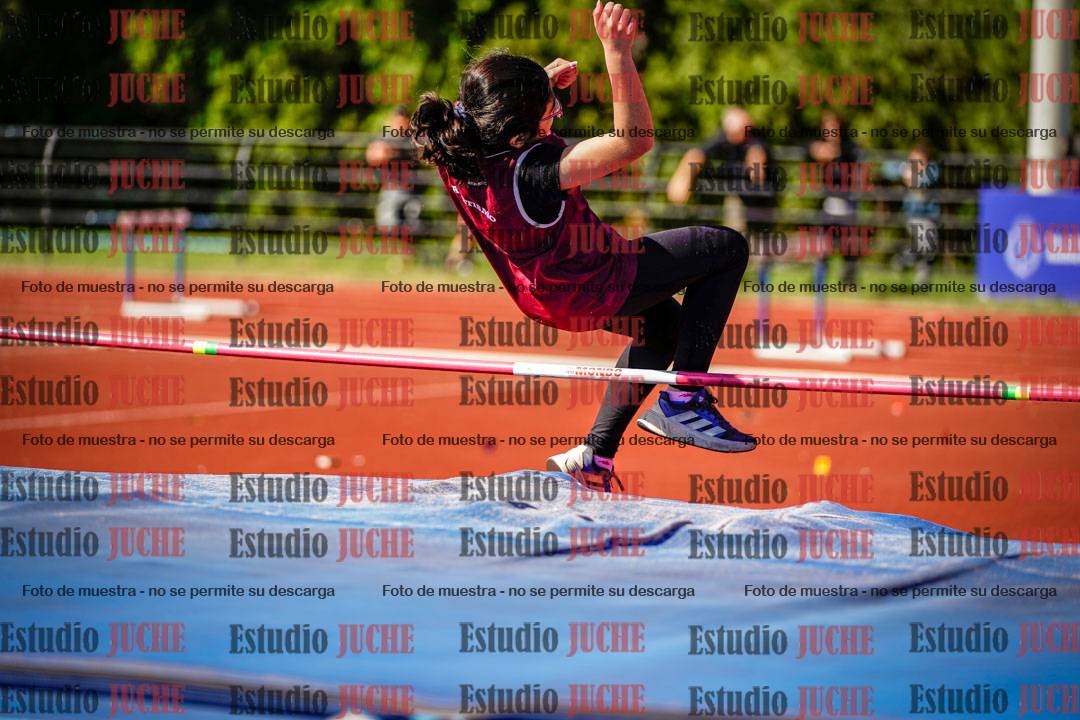 Fotos del salto en alto