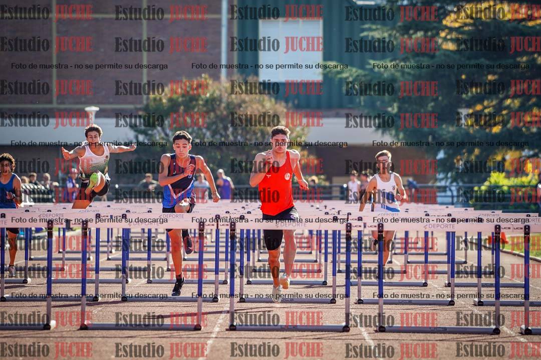 Fotos de los 110 m con vallas de varones