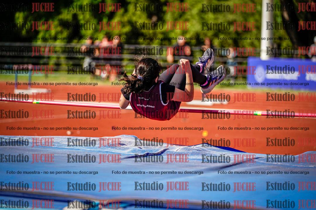 Fotos del salto en alto