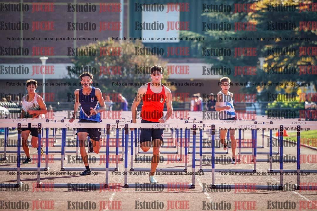 Fotos de los 110 m con vallas de varones