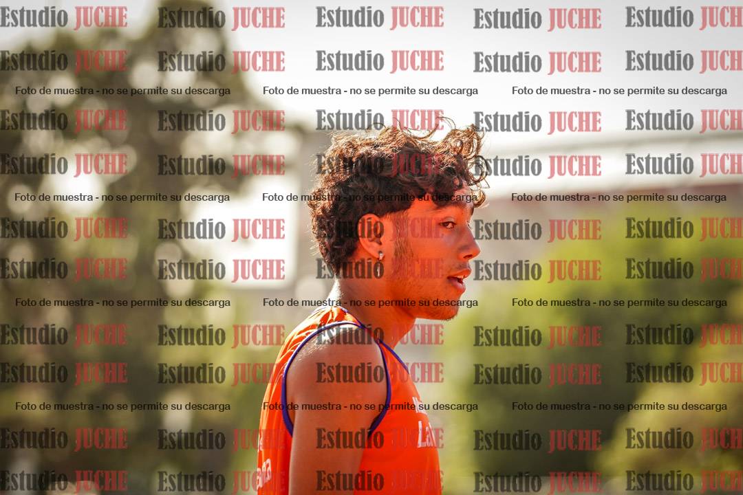 Fotos de los 110 m con vallas de varones