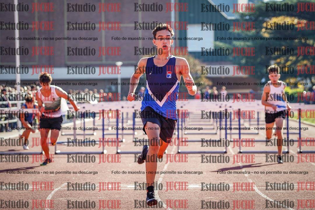 Fotos de los 110 m con vallas de varones