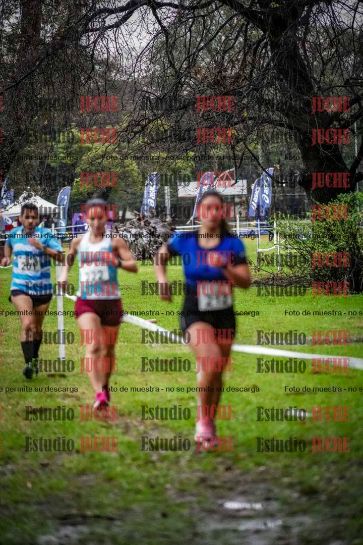 Fotos en el circuito
