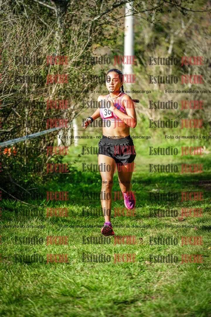 Fotos en el circuito