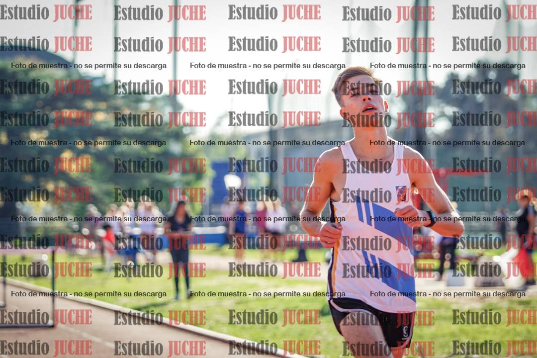 Fotos de los 110 m con vallas de varones