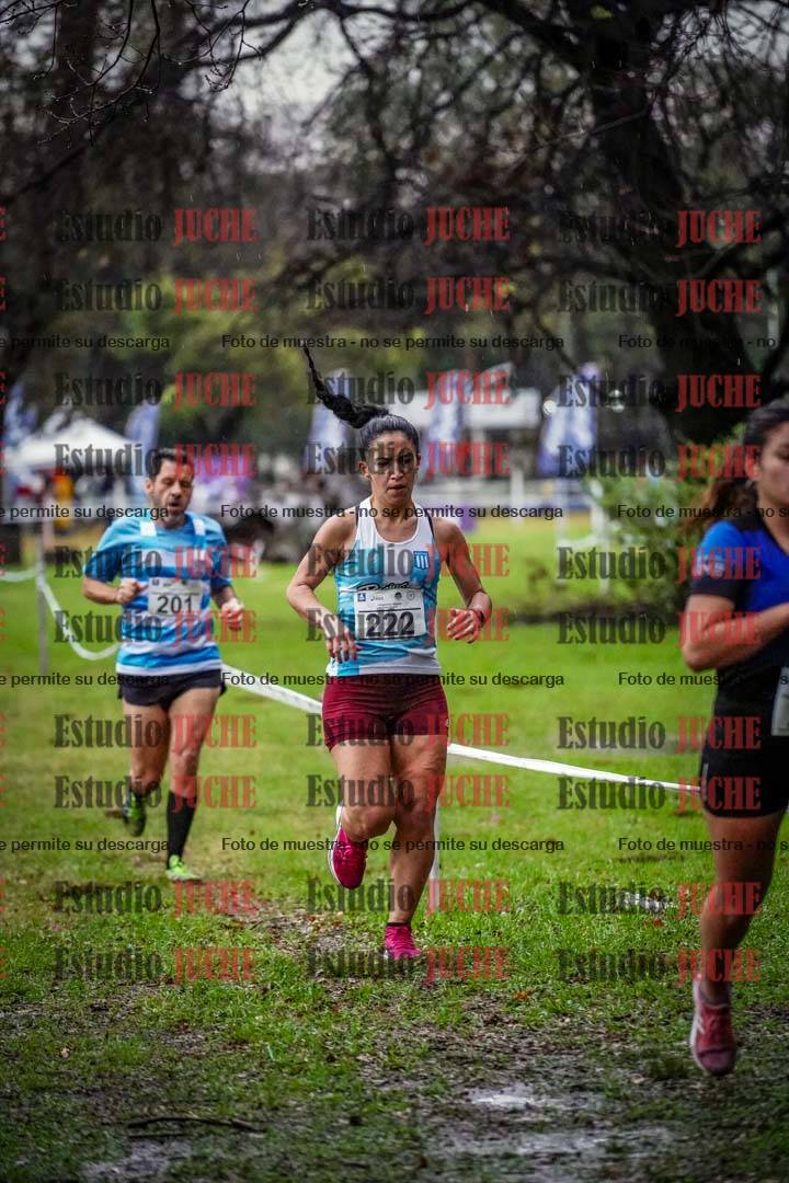 Fotos en el circuito