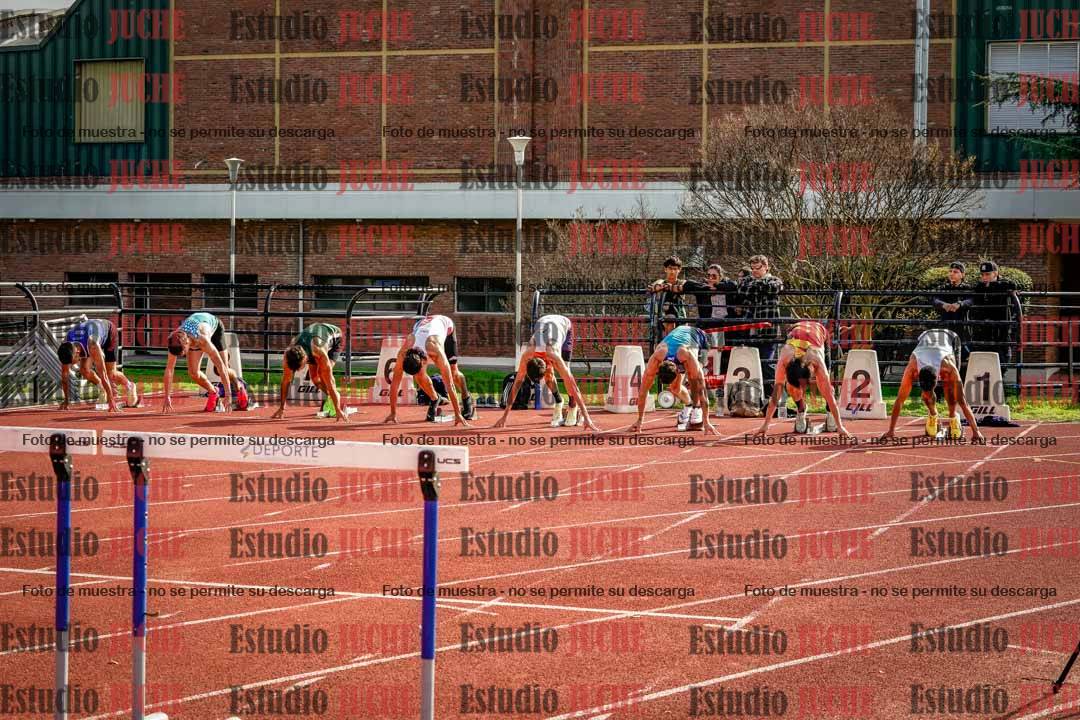 Fotos de los 110 m con vallas de varones