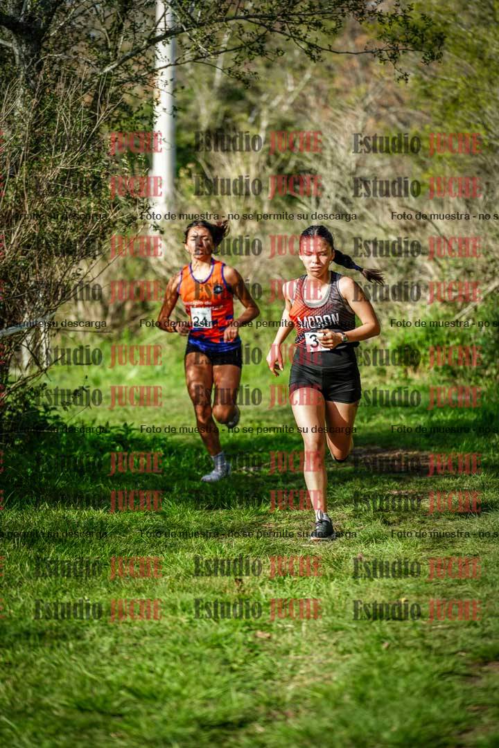 Fotos en el circuito