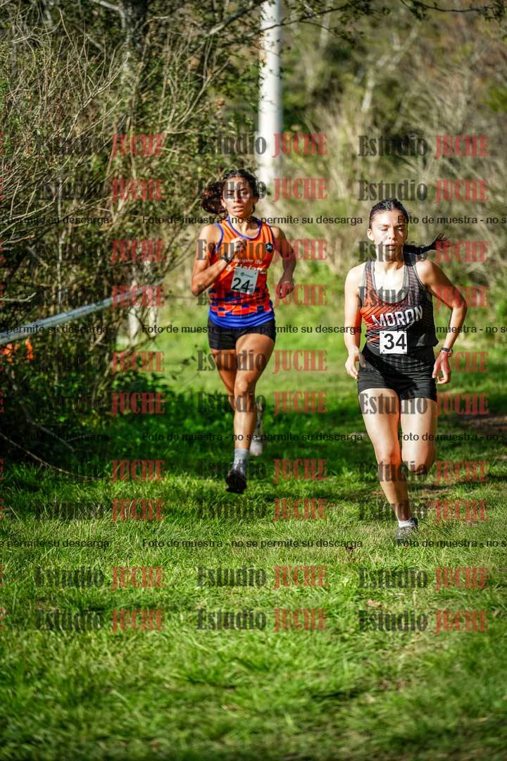 Fotos en el circuito